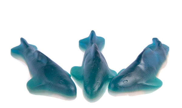 Killer Sharks