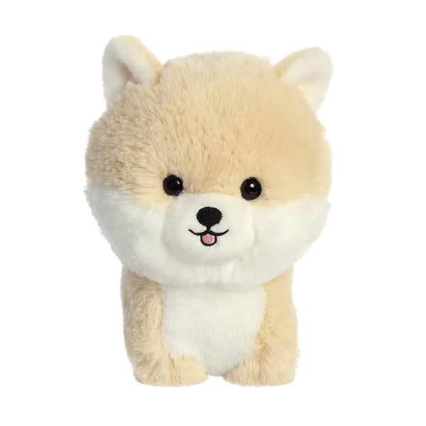 Teddy Pets Pomeranian